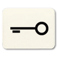 33 T